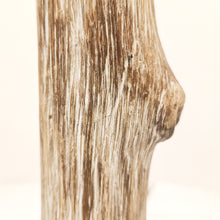 Carica l'immagine nel visualizzatore di Gallery, Portacandela con tronchetto