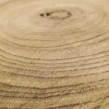 Carica l'immagine nel visualizzatore di Gallery, Tronco sezionato